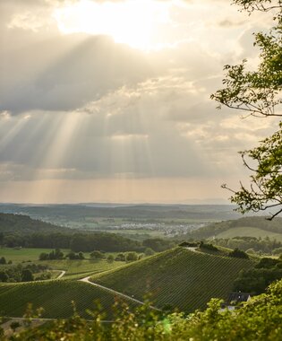 Sternenfels, Kraichgau-Stromberg, Baden-Württemberg in Deutschland | © Stefan Leitner