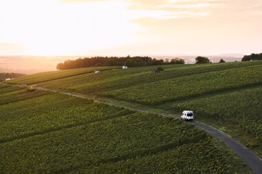 Weingut Schlör in Reicholzheim, Taubertal, Baden-Württemberg, Deutschland