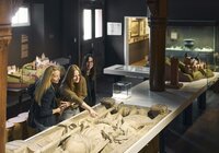 Grafschaftsmuseum Wertheim, Liebliches Taubertal, Baden-Württemberg, Deutschland | © Stefan Leitner