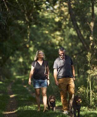 Spazieren am Main mit Hund, Taubertal, Baden-Württemberg, Deutschland | © Stefan Leitner