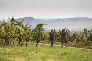 Wandern im Weinberg in Külsheim, Taubertal, Baden-Württemberg, Deutschland | © Stefan Leitner