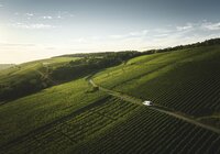 Mit dem Wohnmobil durch die Weinberge in Markelsheim, Taubertal, Baden-Württemberg, Deutschland