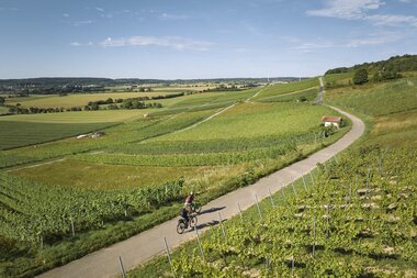 Radfahren im Weinberg in Külsheim, Taubertal, Baden-Württemberg, Deutschland