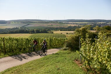 Radfahren im Weinberg in Külsheim, Taubertal, Baden-Württemberg, Deutschland | © Stefan Leitner