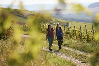 Wandern im Weinberg in Külsheim, Taubertal, Baden-Württemberg, Deutschland | © Stefan Leitner