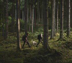 Burgruine Eberbach, Rhein-Neckar, Baden-Württemberg, Deutschland | © Stefan Leitner