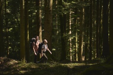 Neckarsteig in Neunkirchen, Odenwald, Baden-Württemberg, Deutschland | © Stefan Leitner