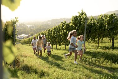 Weinberge in Heilbronn im HeilbronnerLand, Baden-Württemberg, Deutschland | © Stefan Leitner