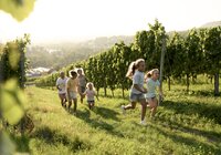 Weinberge in Heilbronn im HeilbronnerLand, Baden-Württemberg, Deutschland | © Stefan Leitner