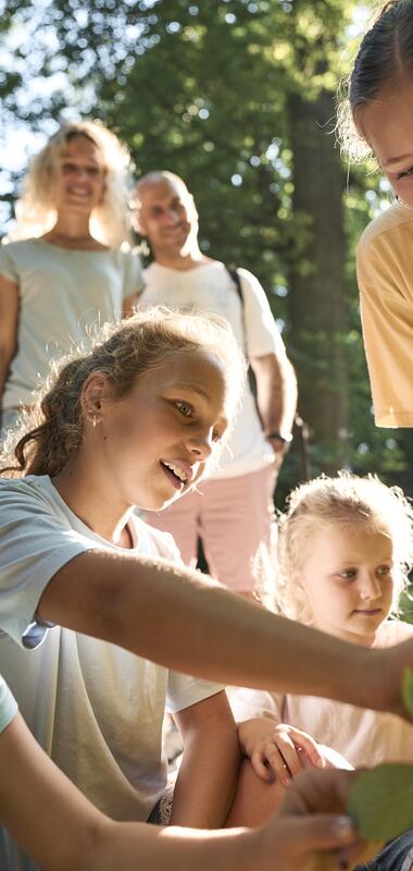 Walderlebnispfad in Heilbronn im HeilbronnerLand, Baden-Württemberg, Deutschland