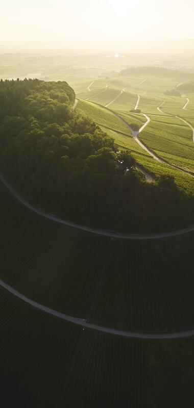 Brackenheim, Kraichgau-Stromberg, Baden-Württemberg, Deutschland