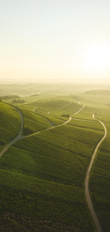 Brackenheim, Kraichgau-Stromberg, Baden-Württemberg, Deutschland