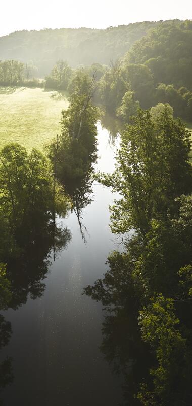 Schöntal, Jagsttal, Hohenlohe, Baden-Württemberg, Deutschland

Die Jagst bei Kloster Schöntal