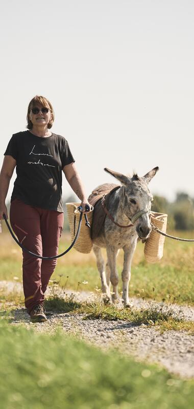 Eselhof Rötlein in Fichtenau, Hohenlohe+Schwäbisch Hall, Baden-Württemberg, Deutschland