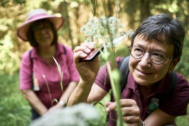 Natur- und Landschaftsführungen, Hohenlohe, Baden-Württemberg, Deutschland

Unterwegs mit den zertifizierten Natur- und Landschaftsführern Hohenlohe e. V. | © Stefan Leitner