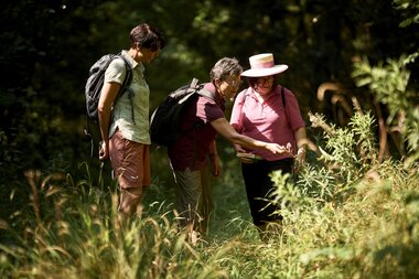 Natur- und Landschaftsführungen, Hohenlohe, Baden-Württemberg, Deutschland

Unterwegs mit den zertifizierten Natur- und Landschaftsführern Hohenlohe e. V. | © Stefan Leitner