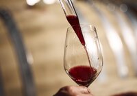 Weingut Schlör, Baden-Württemberg, Deutschland | © Stefan Leitner