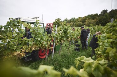 Weingut Ehrmann, Baden-Württemberg, Deutschland | © Stefan Leitner