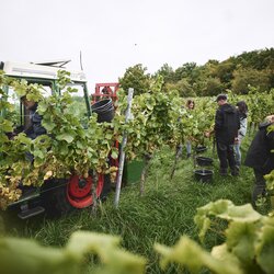Weingut Ehrmann, Baden-Württemberg, Deutschland | © Stefan Leitner