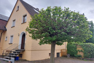 Am Stadtrand-Ferienwohnung in Sinsheim | © Scholl