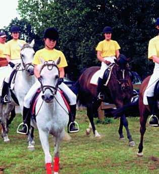 Bauern- und Reiterhof Hilpert