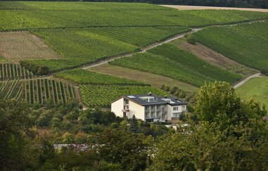 Benz  Das Weinhotel