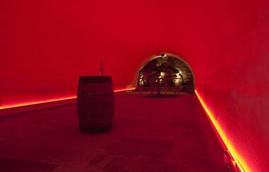Benz  Das Weinhotel