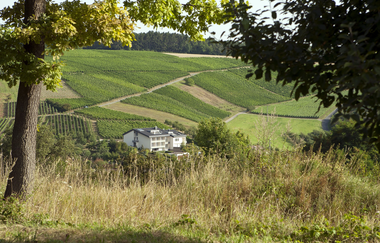 BENZ Weingut & Weinhotel | © Weingut& Weinhotel Benz
