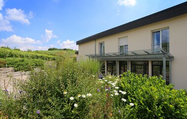 BENZ Weingut & Weinhotel | © Weingut& Weinhotel Benz