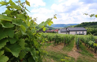 BENZ Weingut & Weinhotel | © Weingut& Weinhotel Benz