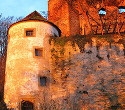 Burg Ehrenberg