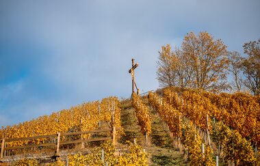 Aussichtspunkt Scheuerberg | Neckarsulm | HeilbronnerLand | © Stadt Neckarsulm