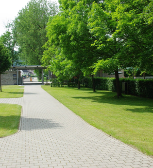 Die Plätze sind mit Rasen bedeckt und von Bäumen beschattet | © Touristikgemeinschaft Hohenlohe e. V. | Stadt Künzelsau