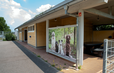Campingplatz am St. Leoner See
