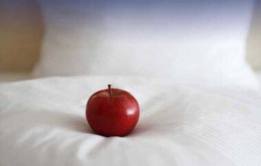 Dr. Brigitte Hörr | © Unbekannt