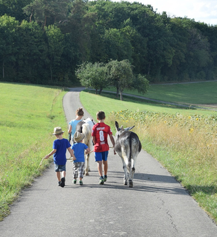 Kinder führen einen Esel auf einem Weg. | © Touristikgemeinschaft Hohenlohe e. V. | Familie Karle