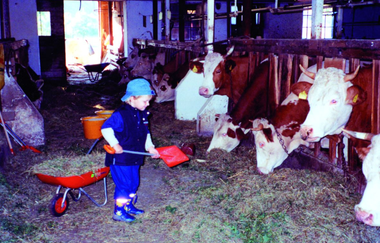 Ferienbauernhof Schmitt