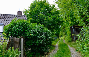 Ferienhaus an der Steige | © Unbekannt