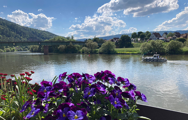 Ferienhaus "Blaues Häuschen - knapp am Main" | © Unbekannt