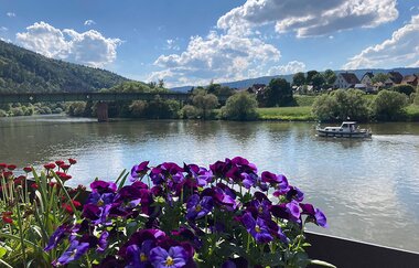 Ferienhaus "Blaues Häuschen - knapp am Main" | © Unbekannt