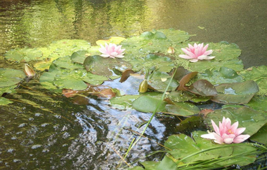 Ferienhaus Gutekunst | © Unbekannt