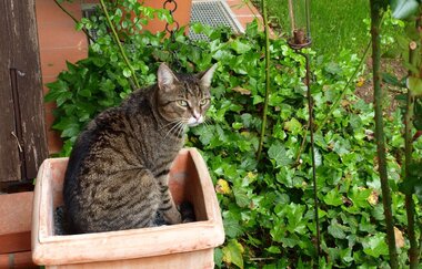 Ferienhaus Gutekunst | © Unbekannt
