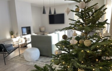 Ferienhaus Naturton in Gerabronn: Weihnachtsbaum | © Hohenlohe Schwäbisch Hall