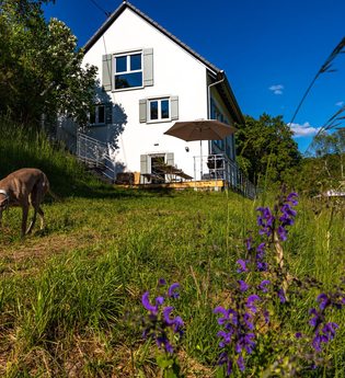 Ferienhaus Naturton mit Garten mitten im idyllischen Brettachtal | © Hohenlohe Schwäbisch Hall