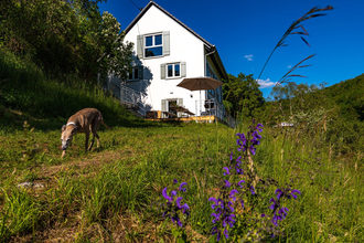 Ferienhaus Naturton mit Garten mitten im idyllischen Brettachtal | © Hohenlohe Schwäbisch Hall