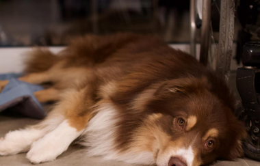 Ferienhaus Renkenmühle | © Ferienhaus Renkenmühle