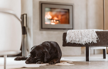 Ferienhaus Tierbachlodge bei Blaufelden: Gemütlicher Wohnraum | © Hohenlohe + Schwäbisch Hall Tourismus e. V.