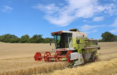 ein Mähdrescher bei der Bewirtung des Feldes | © S. Carle | Ferienhof Carle