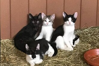 Ferienhof Ott im Rothenburger Land | © Unbekannt