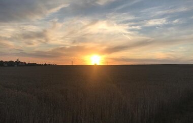 Ferienhof Ott im Rothenburger Land | © Unbekannt